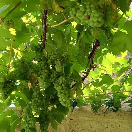 Windsor - Bed & Breakfast Waulsort