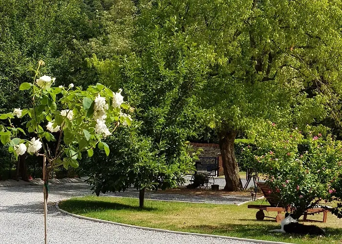 Windsor - Couette-café Waulsort